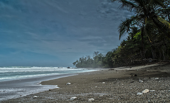 Matapalo Beach, Osa Peninsula, Costa Rica